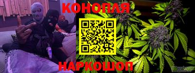 прущие грибы Туймазы