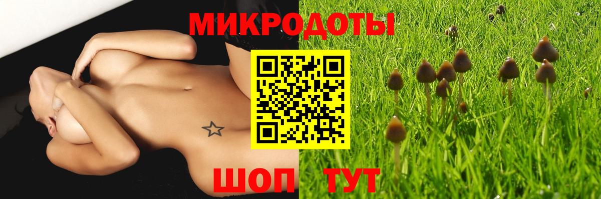 Галлюциногенные грибы Psilocybe Коркино